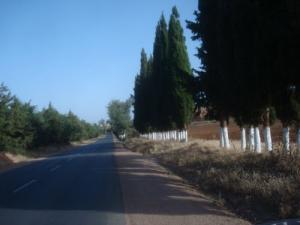 Sur la route d'El Makhref