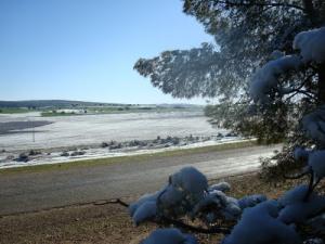 Neige de printemps sur la périphérie de Tiaret