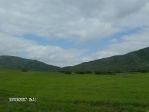 Djebel El Kebir (Périphérie de Tiaret)