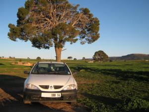 A l'Ouest de Ain el Hadid