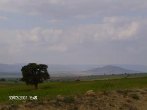 Djebel Tamelahet (Périphérie de Tiaret)