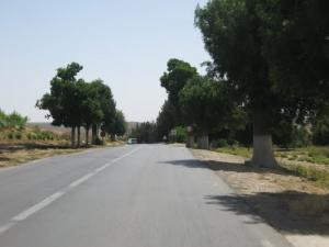 Aux abords de Tiaret