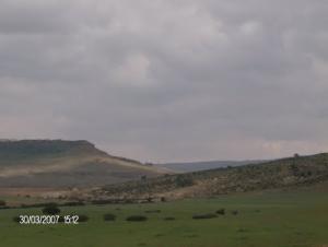 Paysage de Tiaret