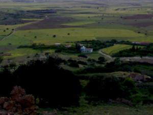 Marabout de Sidi Mhamed Ben Khlifa (périphérie de Tiaret)