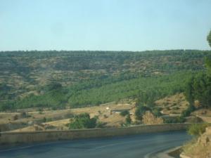 Route d'Oran (Tiaret)