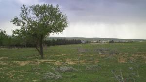 Une ferme de Sidi Abed