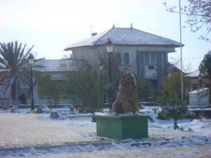 La poste de Mahdia (Wilaya de Tiaret)