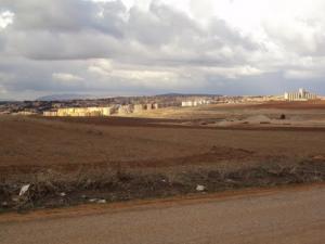 aux abords de Tiaret