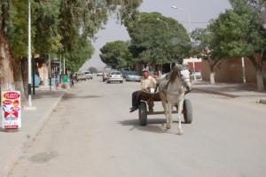 Une allée de Tiaret