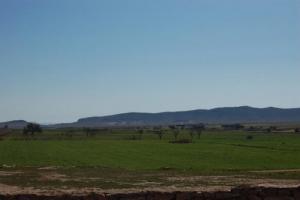 Verdure de la commune de Rechaiga au Printemps