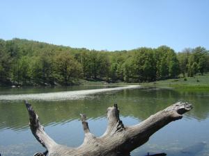 Un lac près de Tizi-ouzou