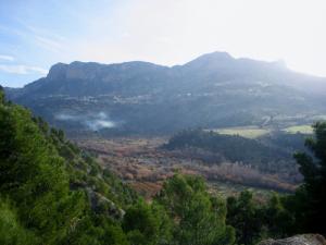 LA forêt deFréha en Hiver