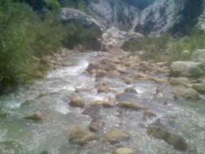 Rivière dans la forêt de Freha