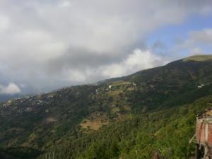 Verdure dans la périphérie de Tizi ouzou