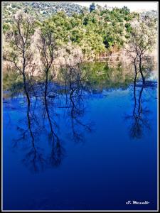 Barrage de Taksebt (Wilaya de Tizi-ouzou)