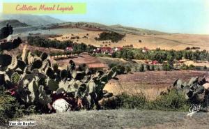 BOGHNI 1933 VUE DE LA ROUTE DE MECHTRAS