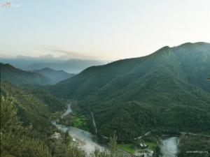 Les Vertes Forêts Montagneuses de Tizi ouzou