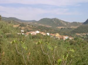 Paysage de Tizouine (périphérie de Tizi ouzou)