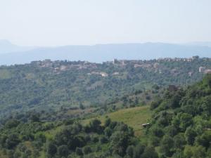 Les forêts de Tizi ouzou