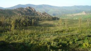 paysage de Tizi ouzou