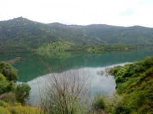 Barrage et Forêt de Taksebt