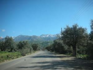 Région de Thiniri Mendes (Wilaya de Tizi ouzou)