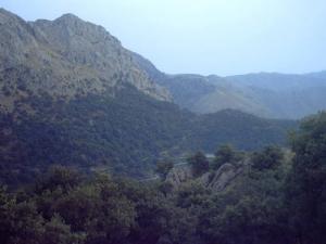 Les montagnes verdoyantes de Tala Guilef (Wilaya de Tizi ouzou)