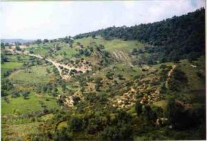 Paysage de Tizi ouzou