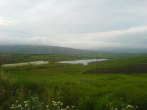 Paysage printanier de Tizi ouzou