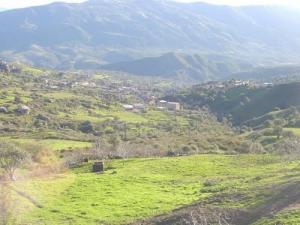 Paysage de Tizi ouzou