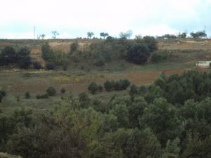 Oued Fardja aux alentours de Tiaret