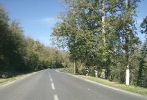 Tizi Ouzou - Forêt Yakourene -