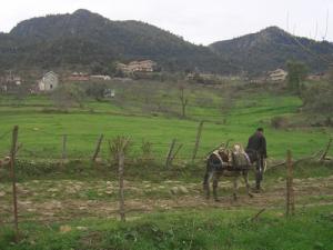 Ait-Aissi, Paysage de Campagne