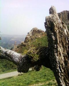 Paysage de Tizi Mellal (Wilaya deTizi ouzou)