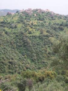 Les montagnes de Tizi ouzou