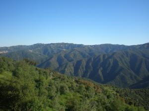 Verdures à perte de vue (Tizi ouzou)