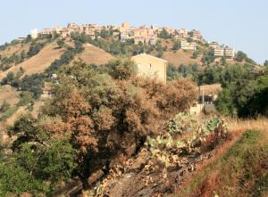 Village de Taourirt El Hadjadj