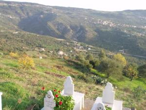 Un cimetière aux abords de Tizi ouzou