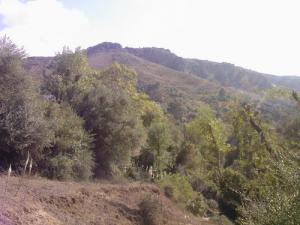 Aux alentours de Tizi ouzou