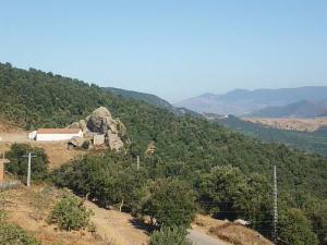 La Forêt d'Ighil Khemis