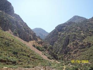 Forêt de Tala Guilef (Commune de Boghni)