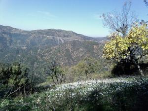 PAYSAGE DE TIZI OUZOU