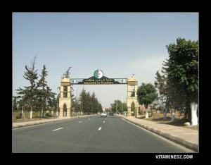 مدخل مدينة مغنية