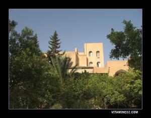 نزل القايد ببوسعادة