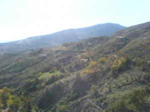 منظر جميل من غابات بونمال