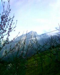 Les montagnes du Djurdjura