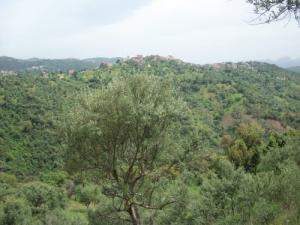Jeddi Mousa, Agouni Boufal