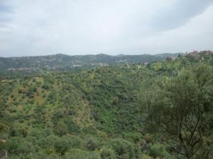 Jeddi Mousa, Agouni Boufal