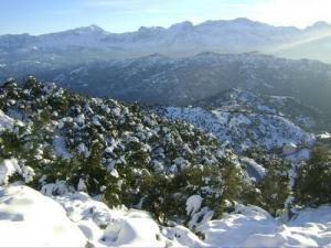 La commune de Larbaa nath irathen sous la neige