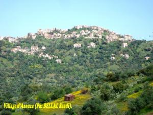 Village d'Azouza (Commune de Larbaa Nath Irathen)